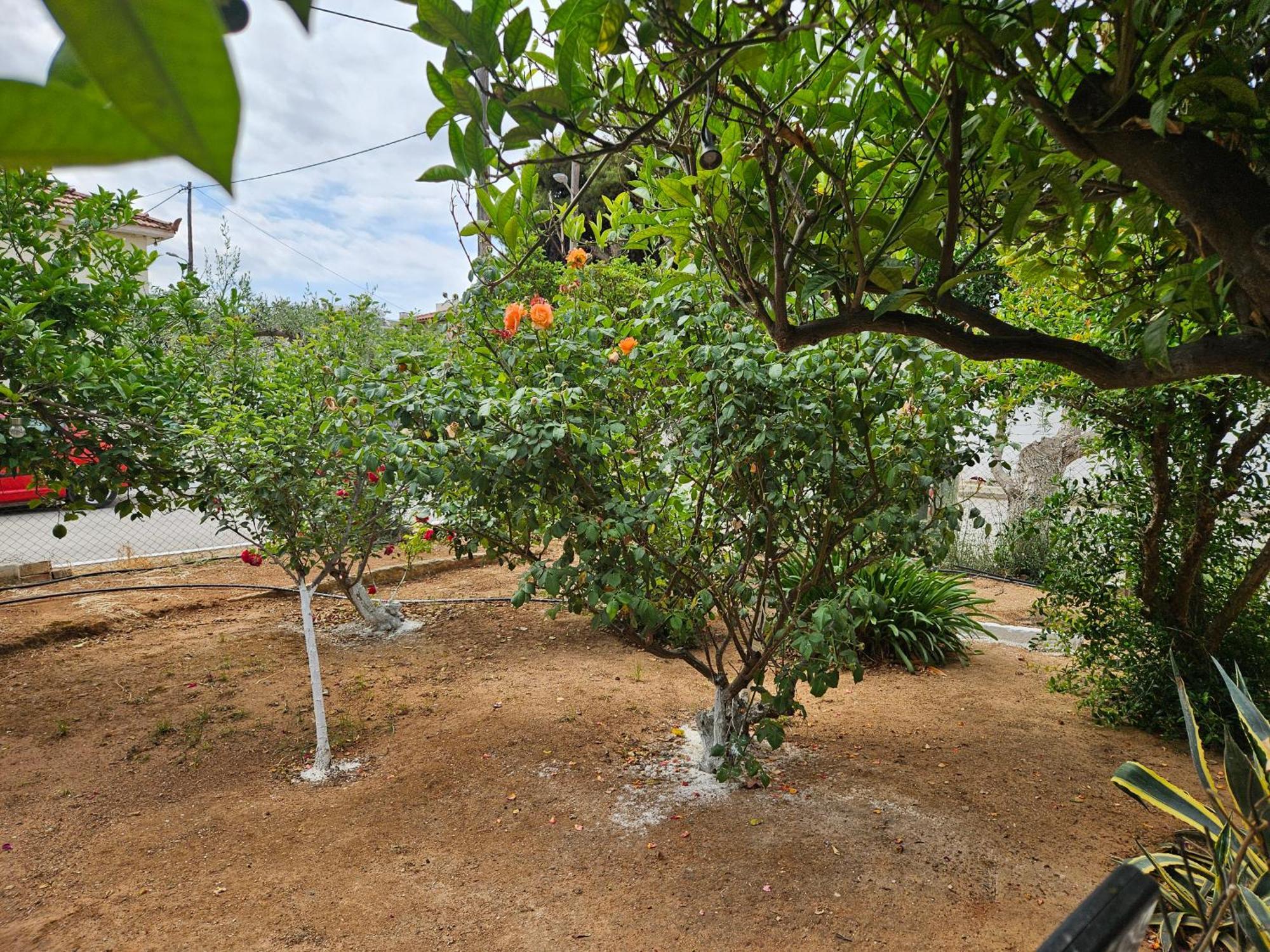 Appartamento Melograno Markópoulon Esterno foto
