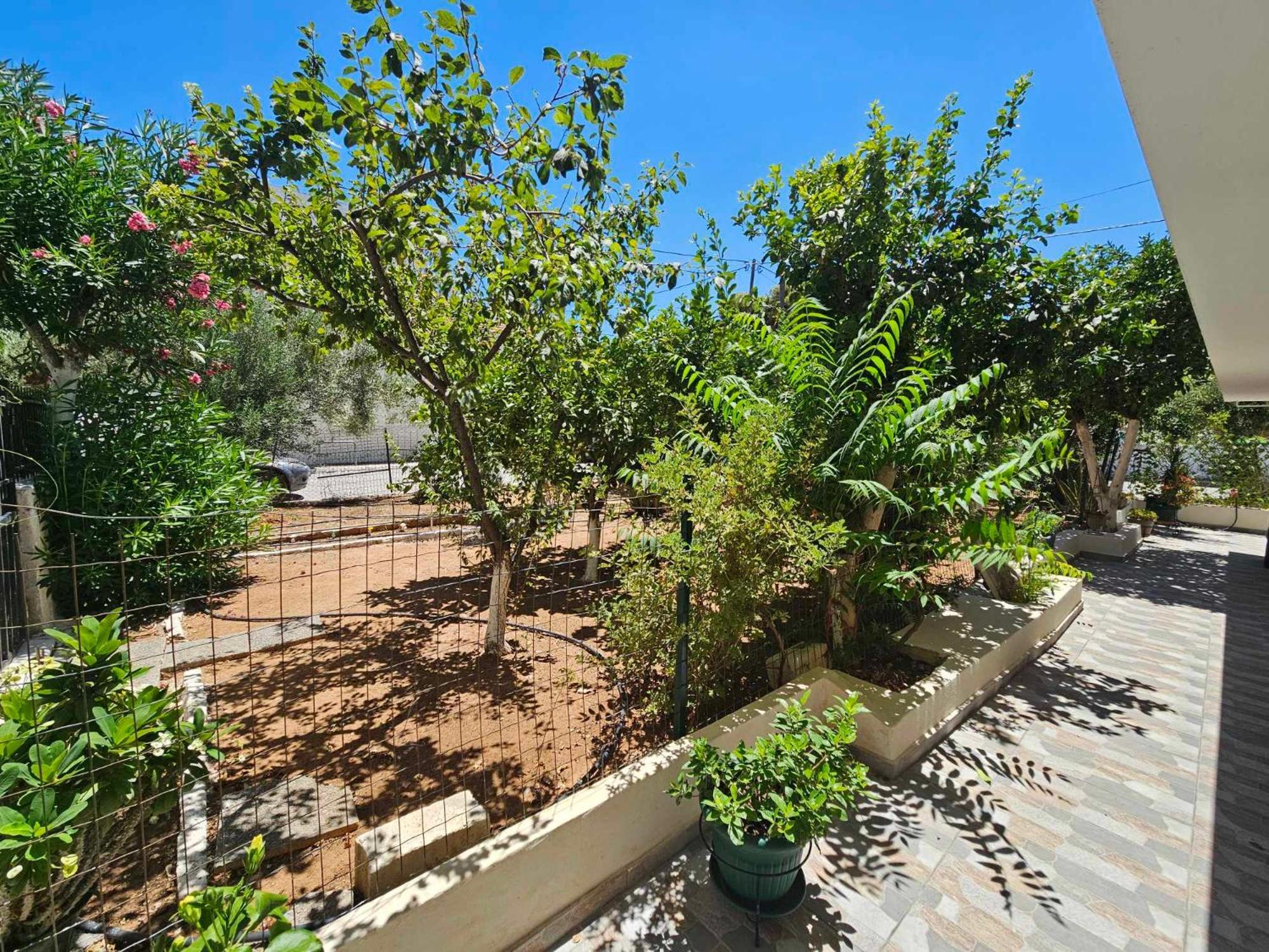 Appartamento Melograno Markópoulon Esterno foto