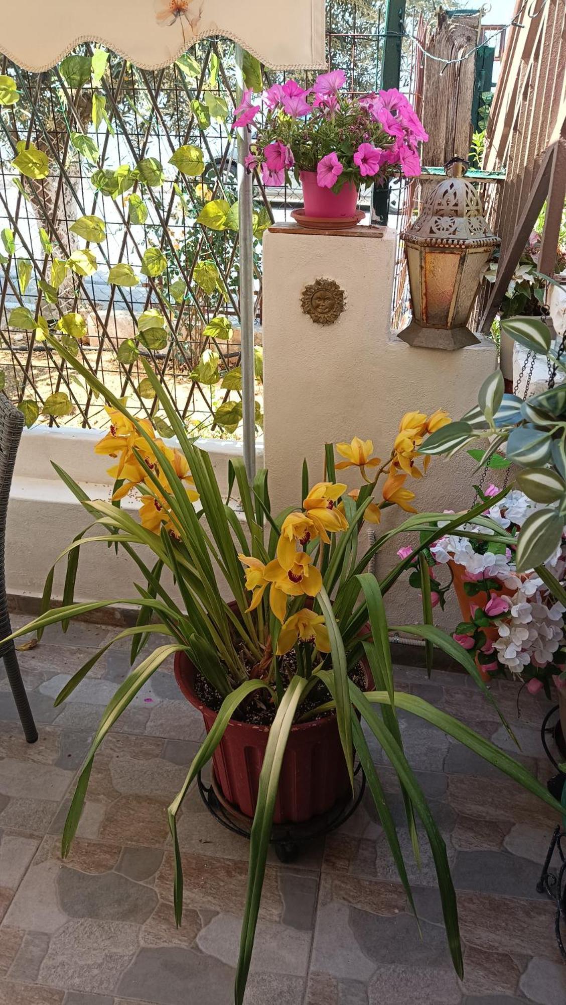 Appartamento Melograno Markópoulon Esterno foto